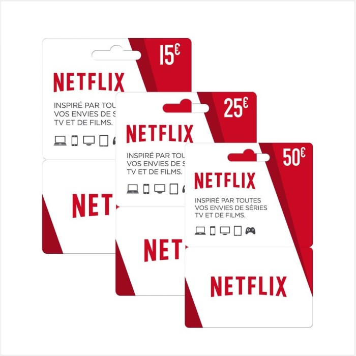 E-Carte Cadeau - Netflix